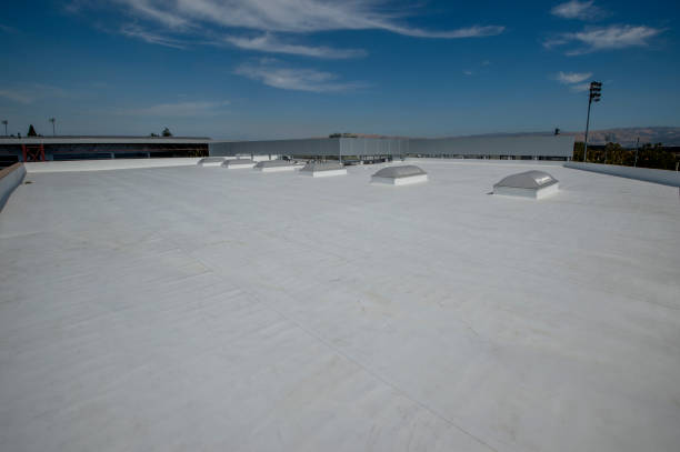 Best Roof Moss and Algae Removal  in Laureldale, PA