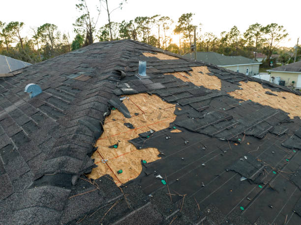 Best Cold Roofs  in Laureldale, PA